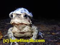 /home//u458753944/public_html/sourcegallery//McKaig Nature Center/2020-09-27/P9270739.JPG